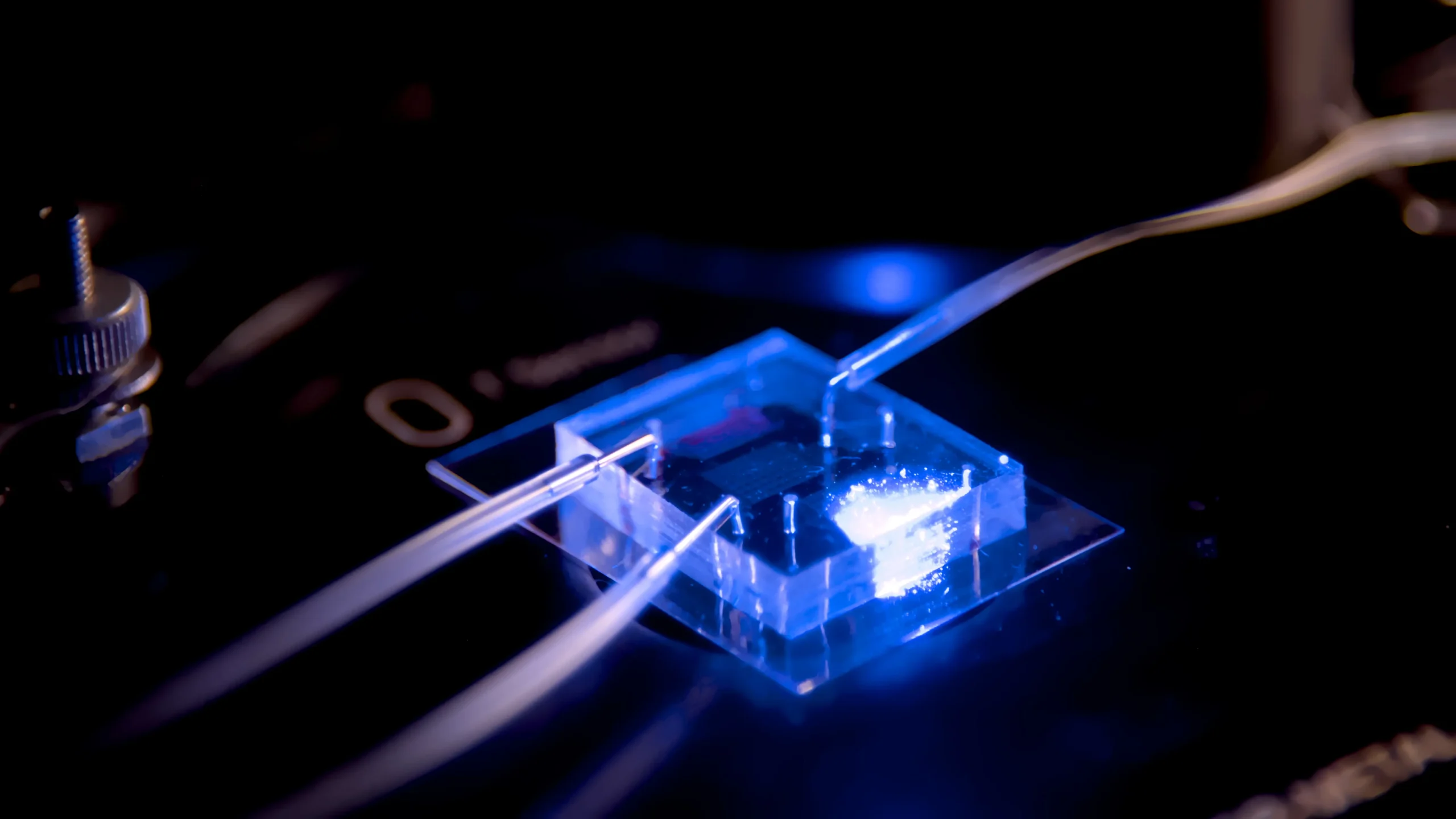 Microfluidic single-cell cultivation chip