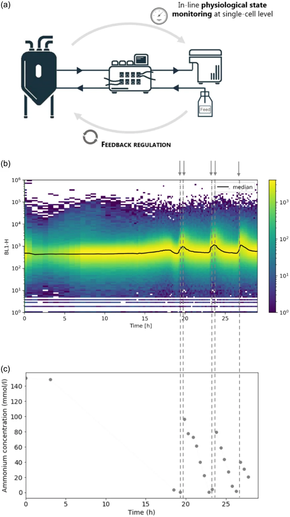 Segregostat biosensor-based feeding control figure