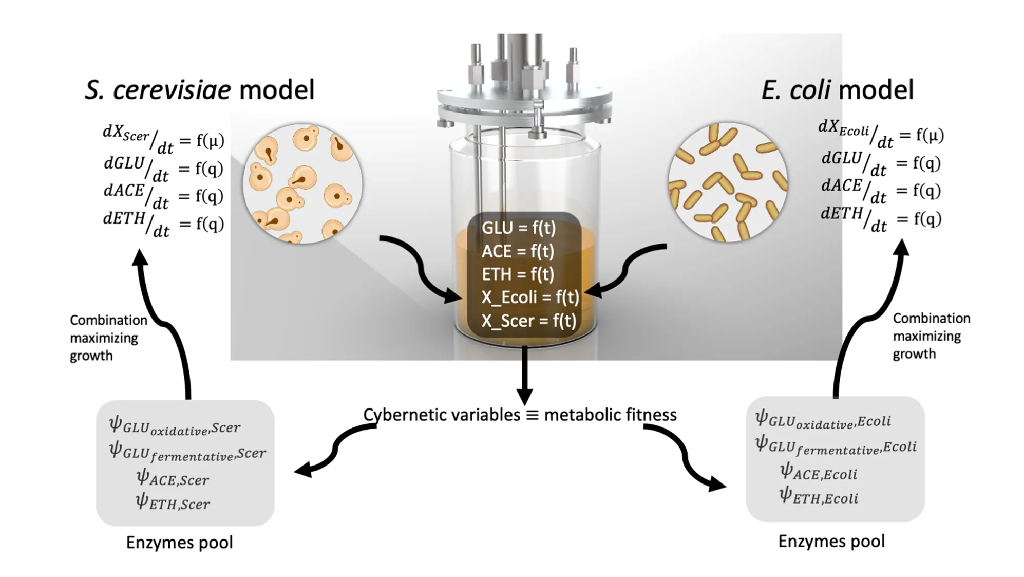 Modular modelling and simulation system